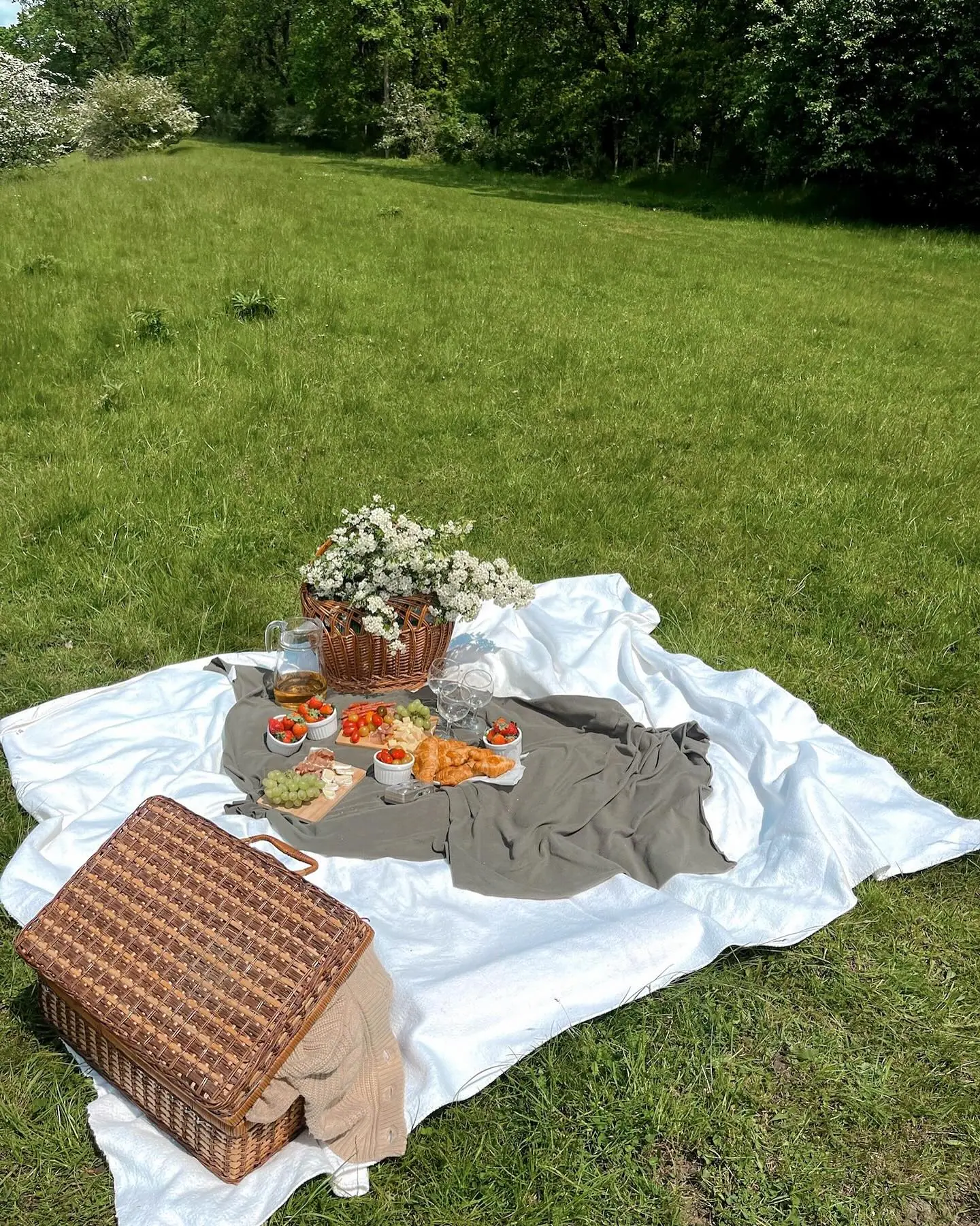 Picnic